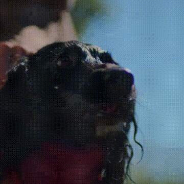 CozyPet Quick-Dry Robe - Deals Haven