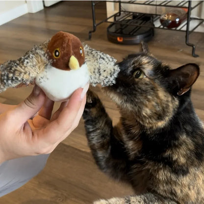 Flappy Bird Cat Toy - Deals Haven 